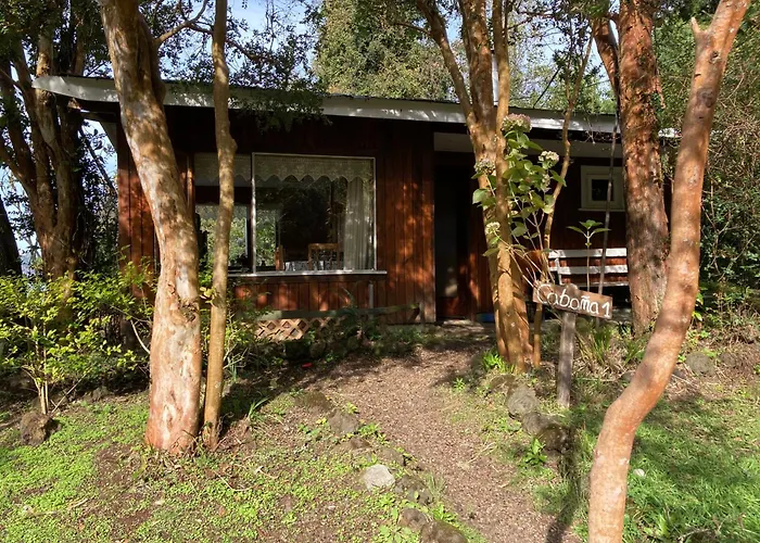 Cabañas el Bosque Patagónico