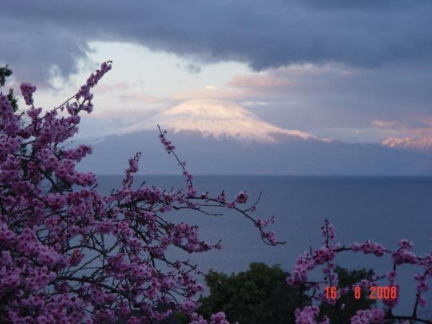 El Bosque Patagónico Alojamento de Turismo Selvagem *
