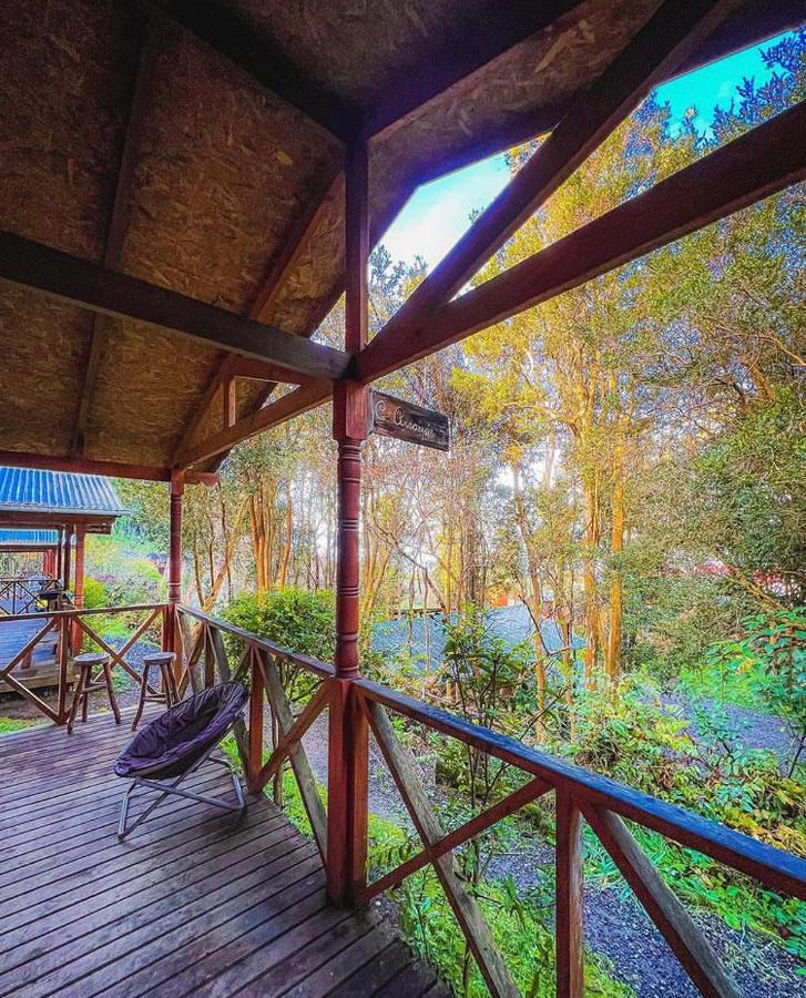 El Bosque Patagónico Alojamento de Turismo Selvagem