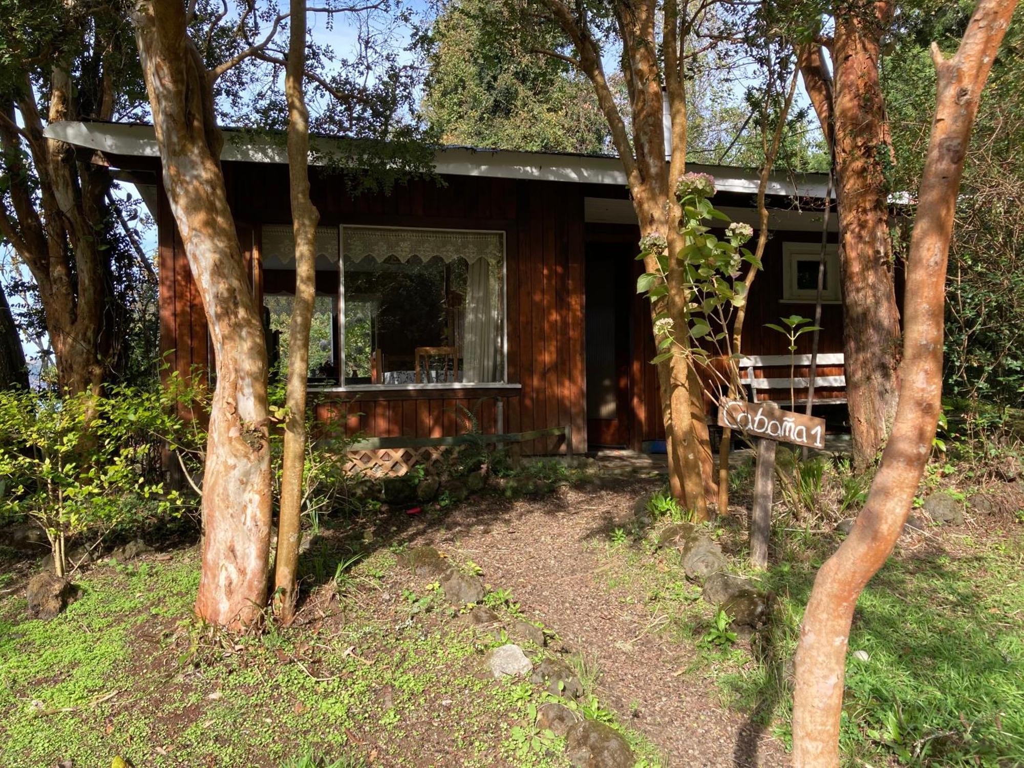 El Bosque Patagónico Frutillar