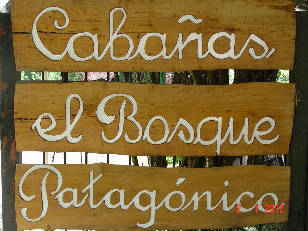El Bosque Patagónico