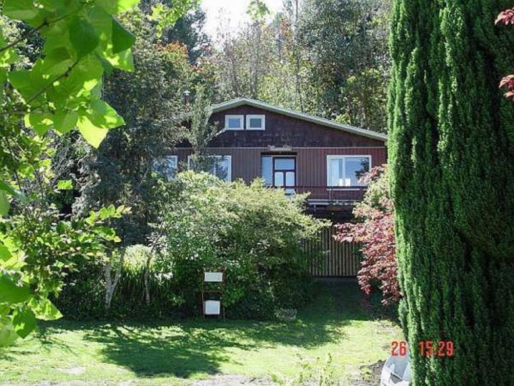 El Bosque Patagónico