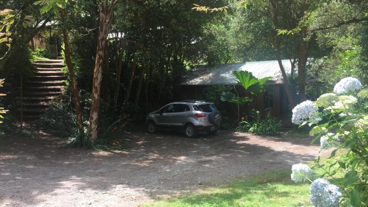 Alojamento de Turismo Selvagem El Bosque Patagónico *