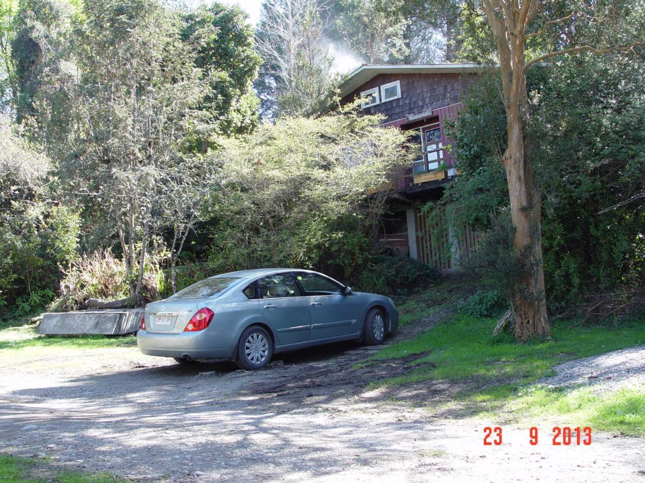 El Bosque Patagónico *